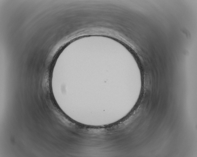 X0000113181498200910021532