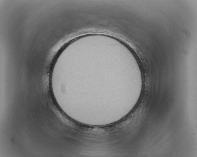 X0000113181503200910021532