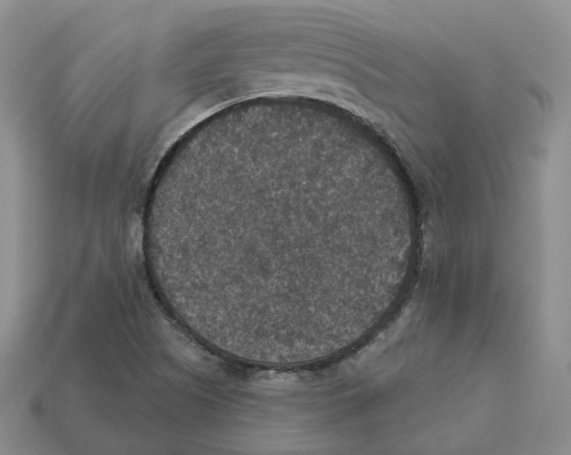 X0000113181505200910021532