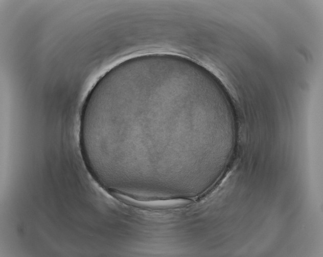 X0000113181508200910021532