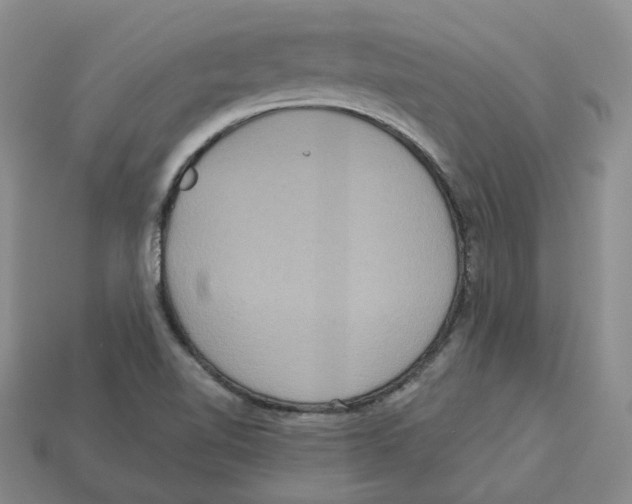 X0000113181510200910021532