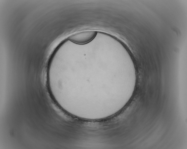 X0000113181511200910021532