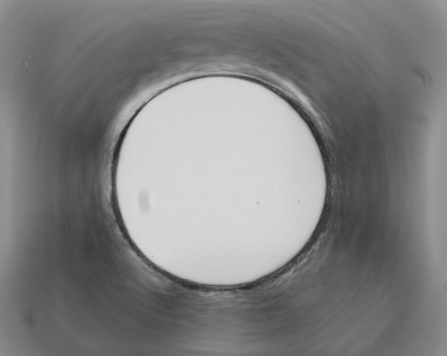 X0000113181512200910021532