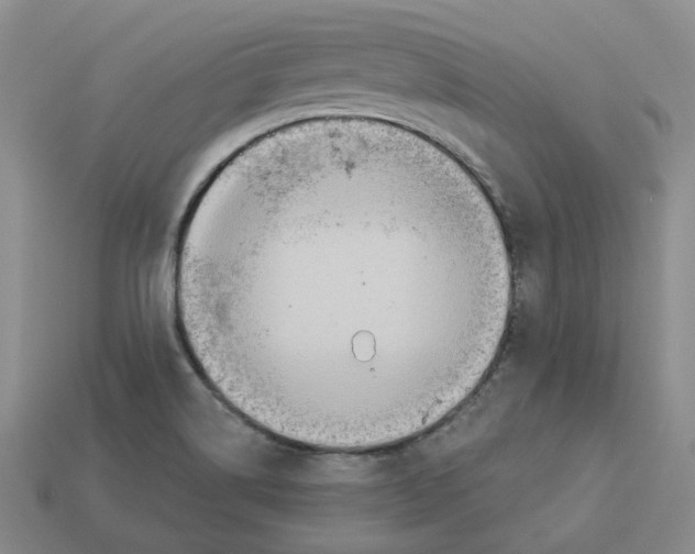 X0000113181514200910021532