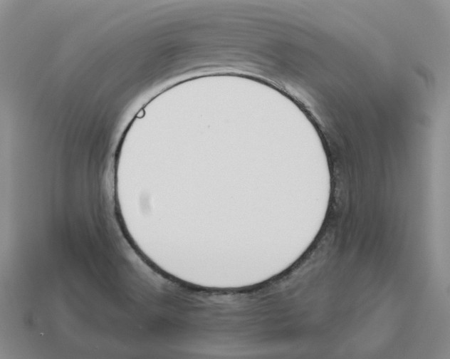 X0000113181516200910021532