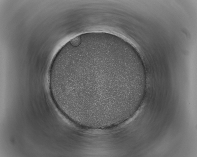 X0000113181517200910021532