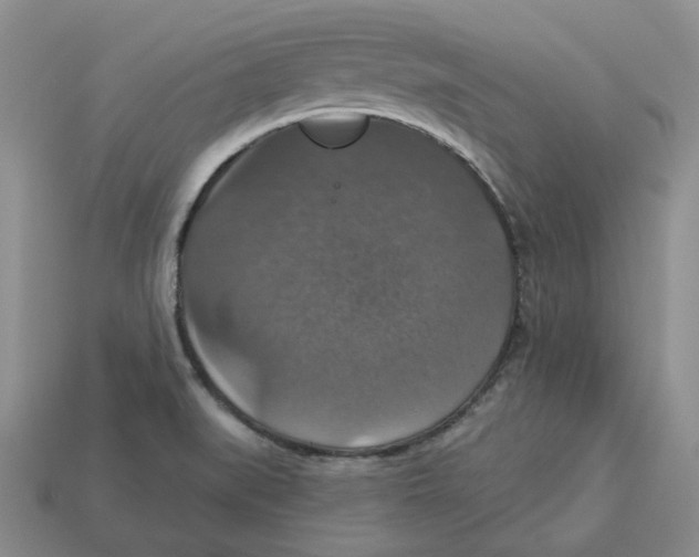 X0000113181519200910021532