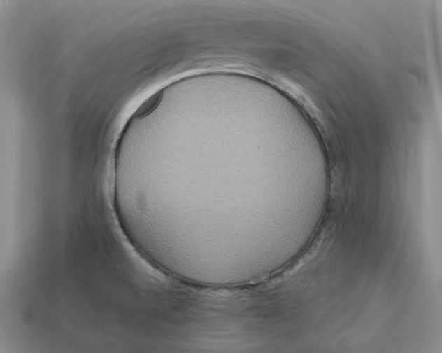 X0000113181520200910021532