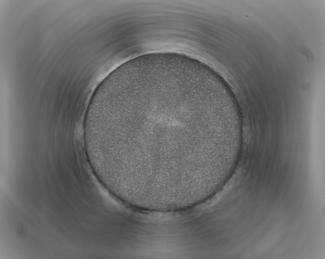 X0000113181521200910021533