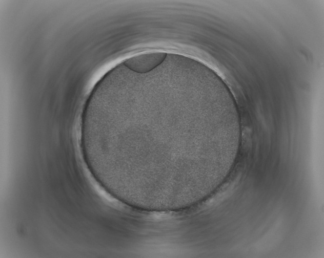 X0000113181523200910021533