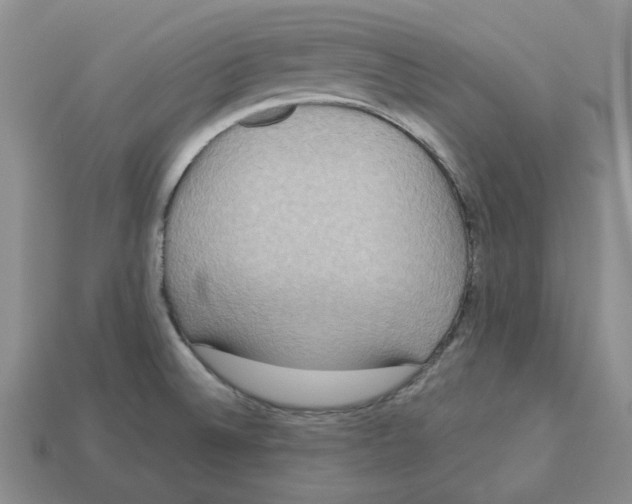 X0000113181524200910021533