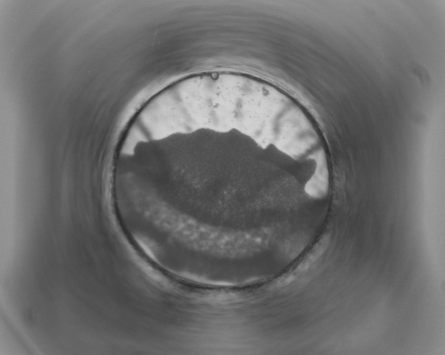 X0000113181525200910021533