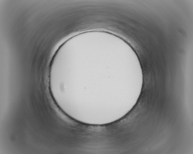X0000113181526200910021533