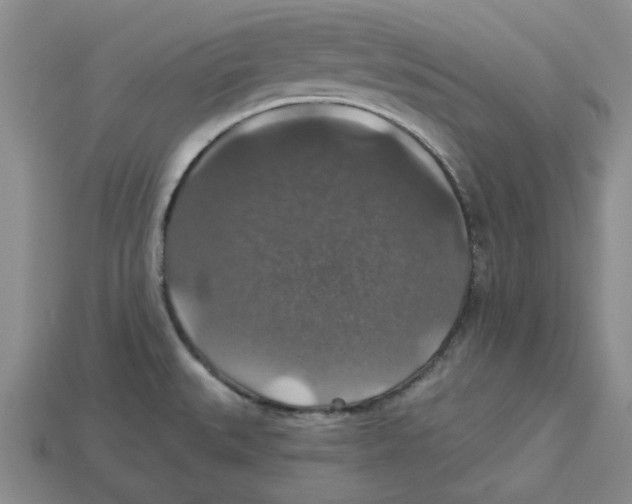 X0000113181527200910021533
