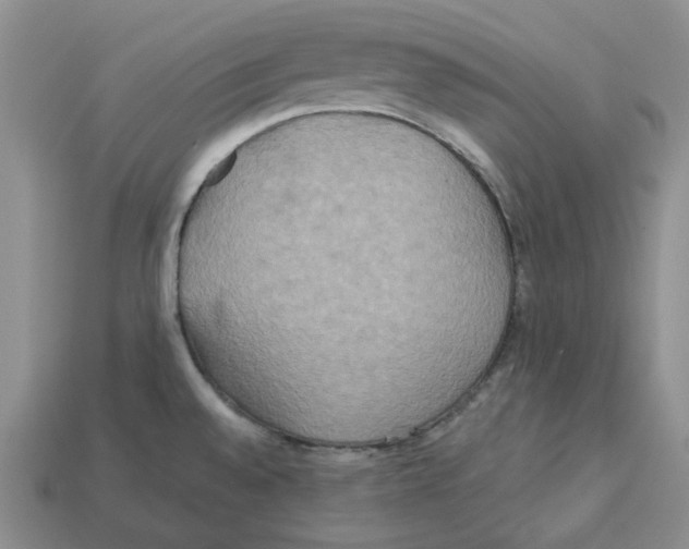 X0000113181528200910021533