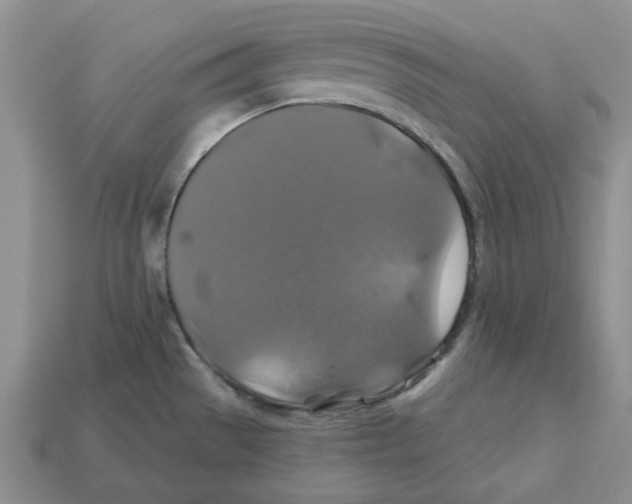 X0000113181529200910021533