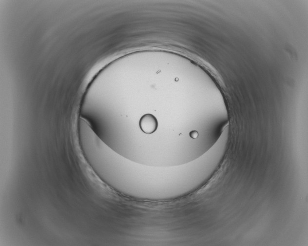 X0000113181530200910021533