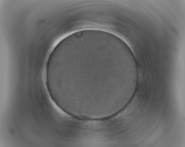 X0000113181531200910021533