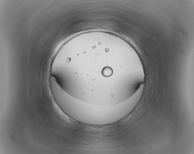 X0000113181532200910021533