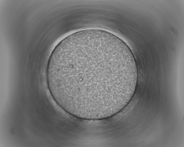 X0000113181534200910021533
