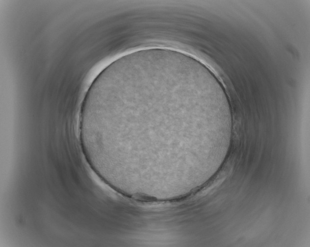 X0000113181535200910021533