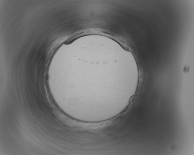 X0000113180001200910161343