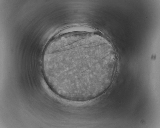 X0000113180002200910161343