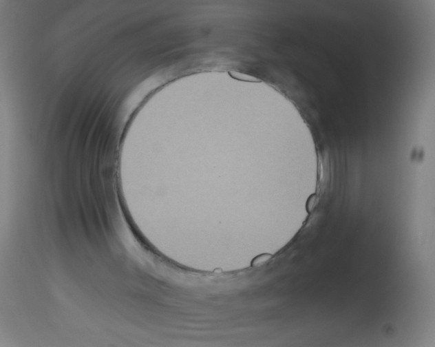 X0000113180003200910161343