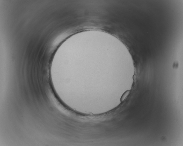 X0000113180005200910161343
