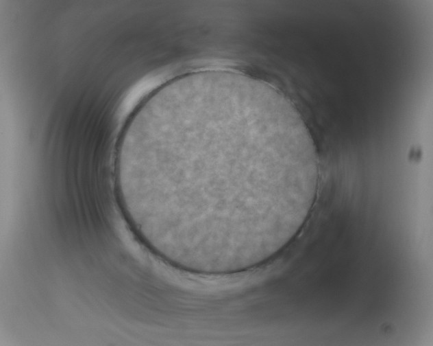 X0000113180006200910161343