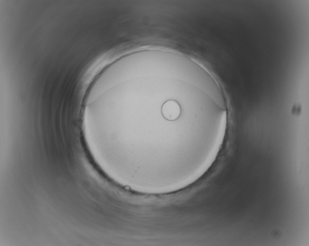 X0000113180007200910161343