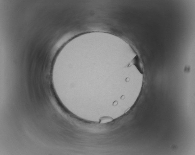 X0000113180008200910161343