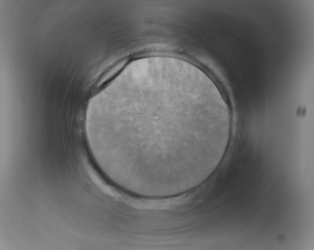 X0000113180009200910161343