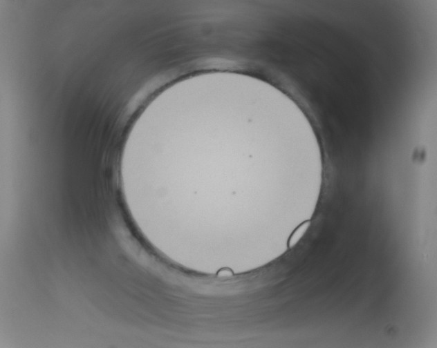 X0000113180011200910161343