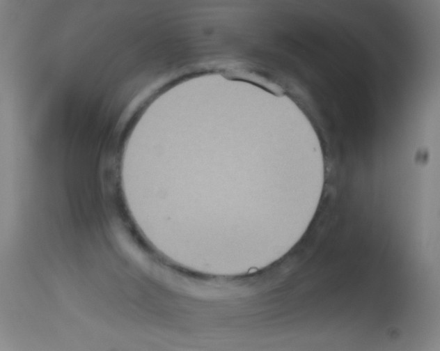 X0000113180012200910161343