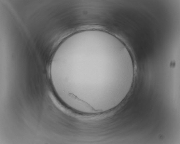 X0000113180013200910161342