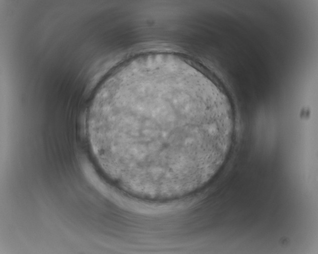 X0000113180014200910161342