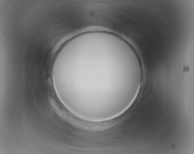 X0000113180015200910161342