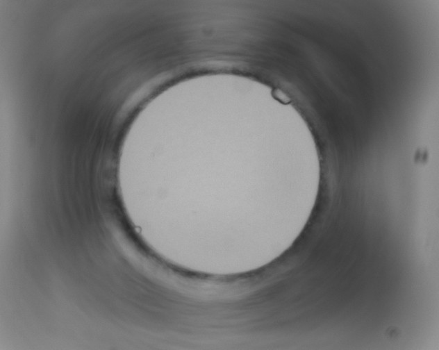 X0000113180016200910161342