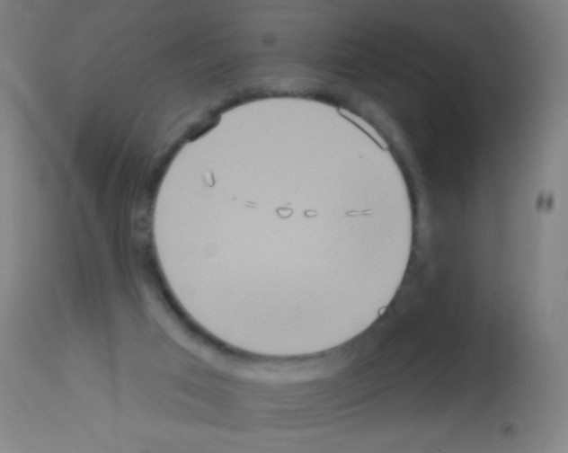 X0000113180017200910161342