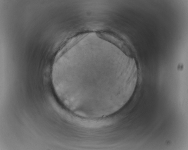 X0000113180018200910161342