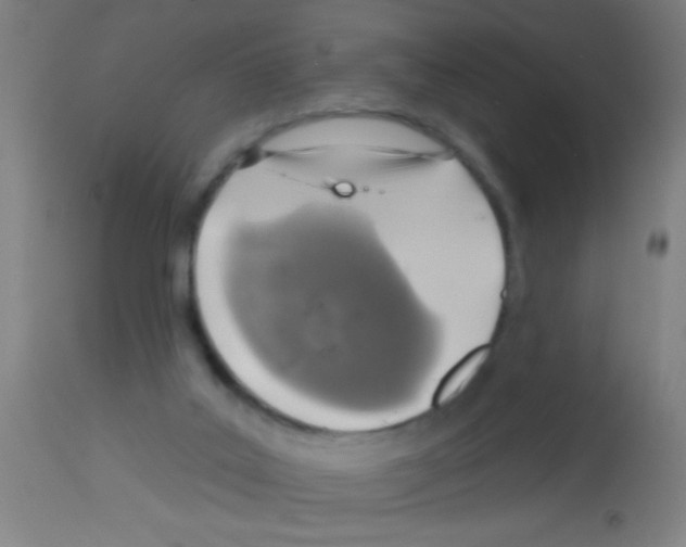 X0000113180019200910161342