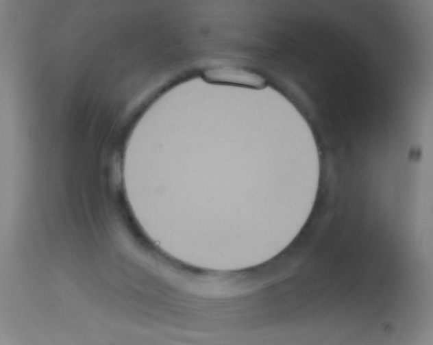X0000113180020200910161342