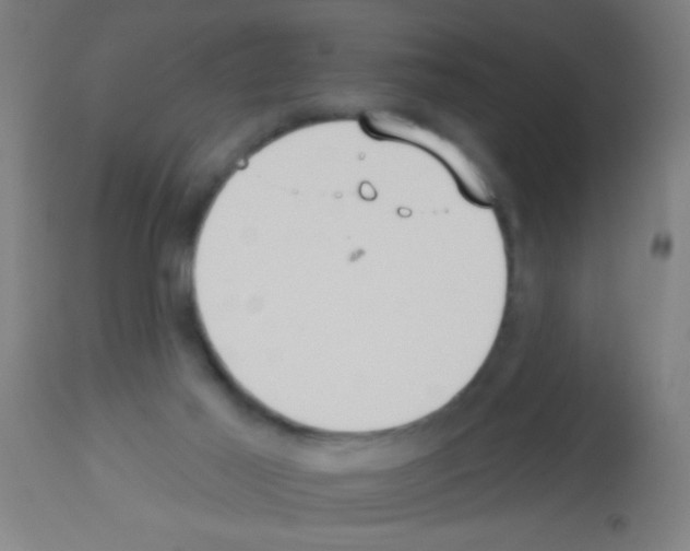 X0000113180021200910161342