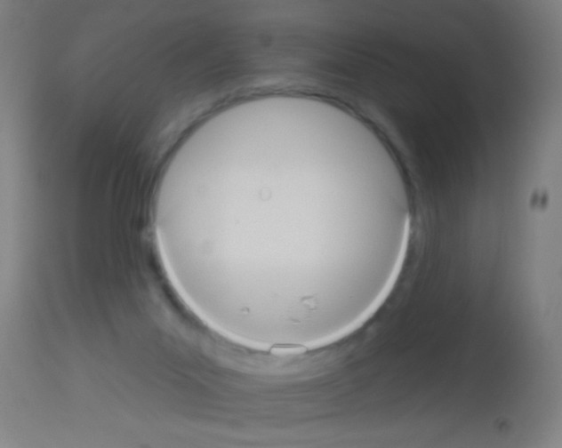 X0000113180023200910161342
