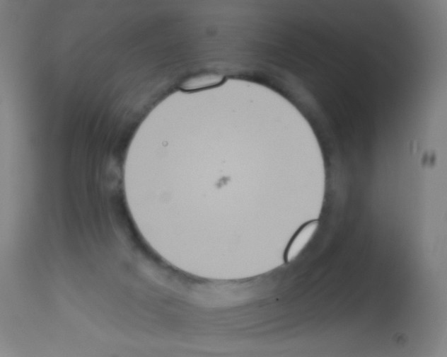 X0000113180025200910161342