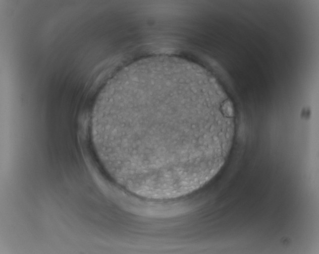 X0000113180026200910161342