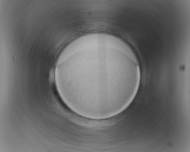 X0000113180027200910161342