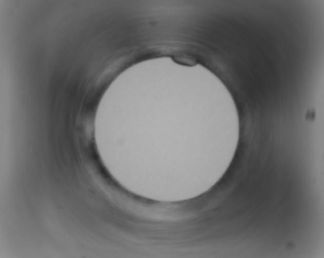X0000113180028200910161342