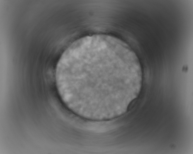 X0000113180029200910161342